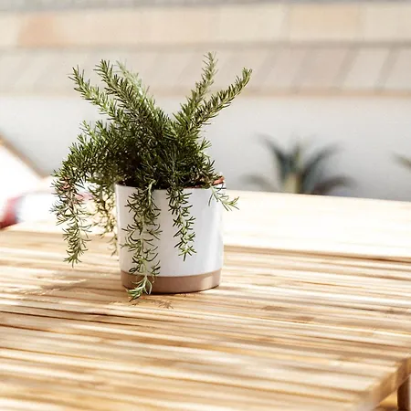 Apartamento Loft Alguer Ii Con Terraza, Barbacoa Y Chimenea *